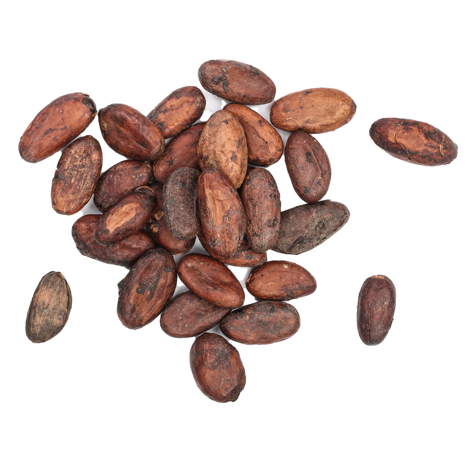 cacao-beans