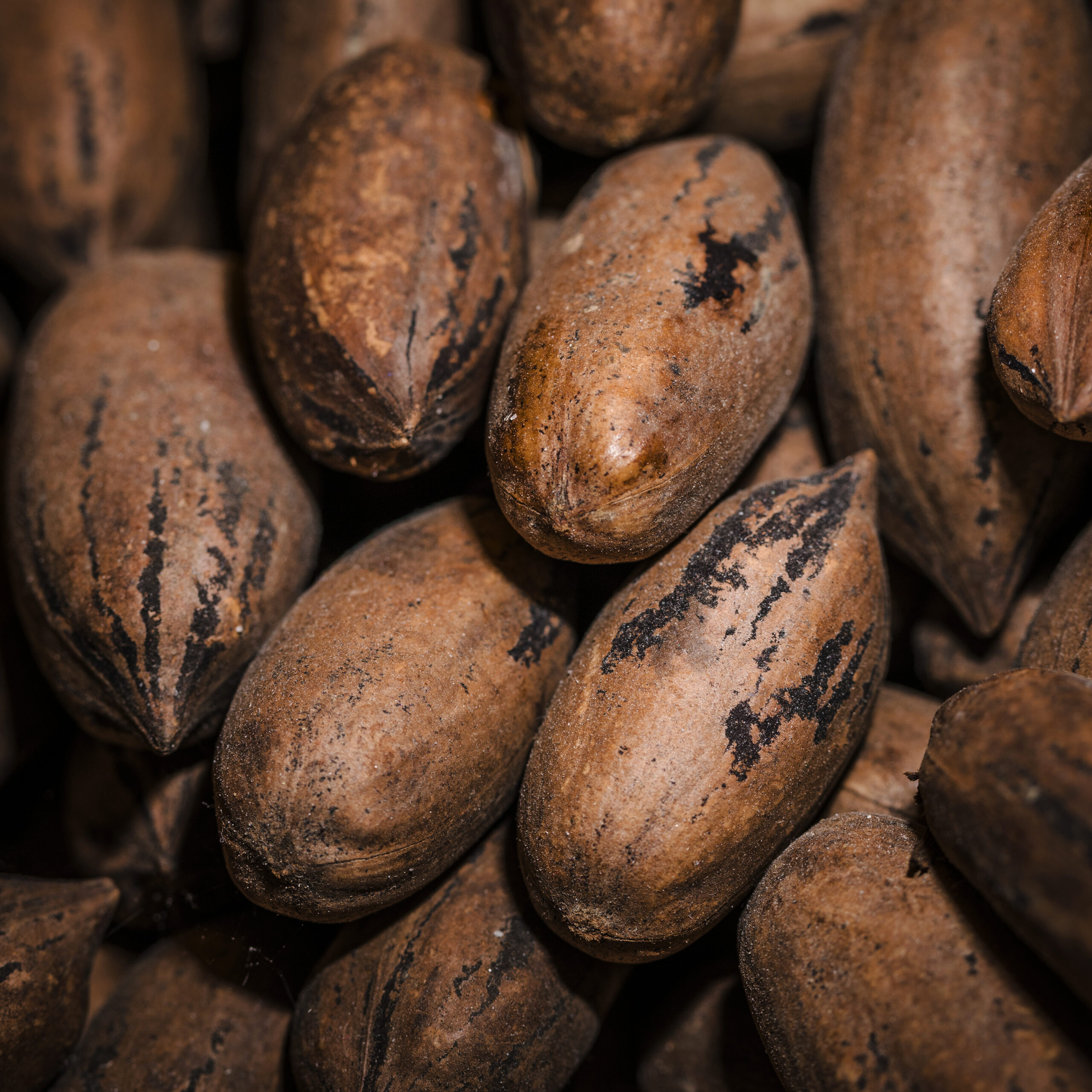 close-up-groceries-market
