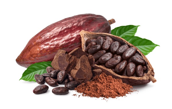 cocoa-ingredients-beans-fresh-pod-600nw-2263048751